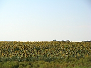 Western Michigan [2009] 046